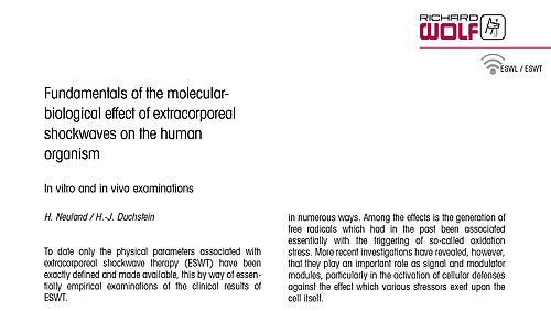 ESWT effect on the human organism